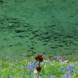 2019-08 Savoie/La Tuile/DSC_1230.JPG